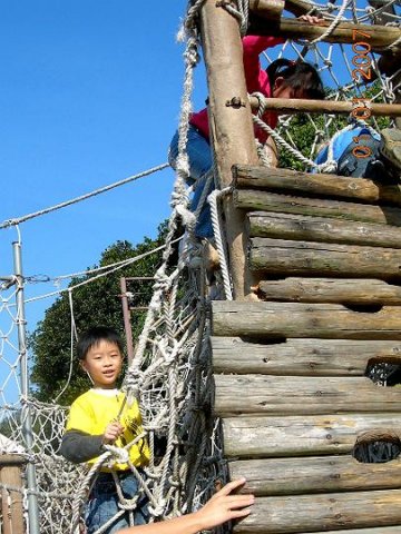 07activity20070101