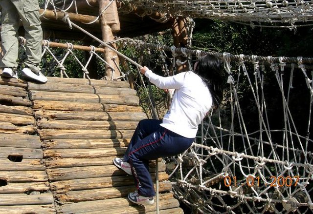 08activity20070101